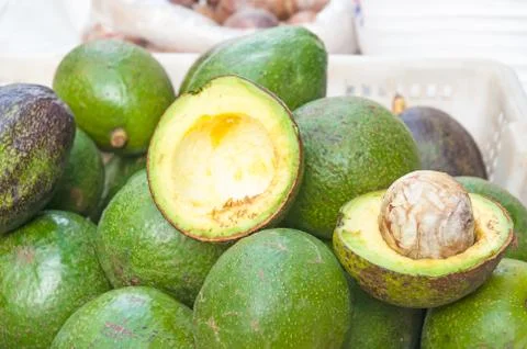 Avocado Stock Photos