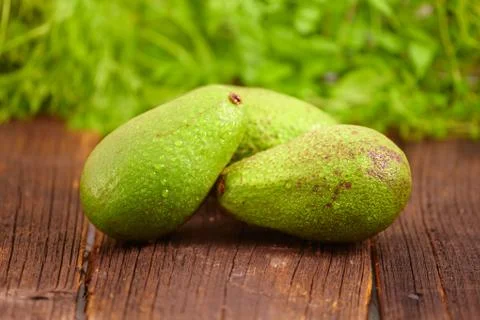 Avocado Stock Photos