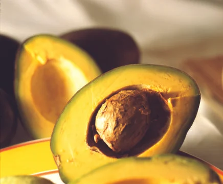 Avocado Stock Photos