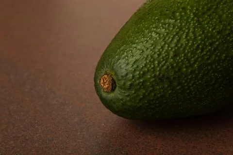 Avocado Stock Photos