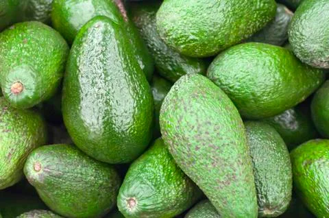 Avocado Stock Photos