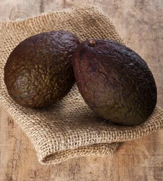 Avocado Stock Photos