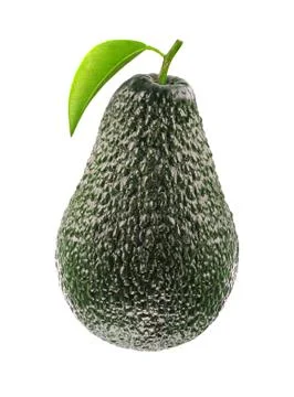 Avocado Stock Photos