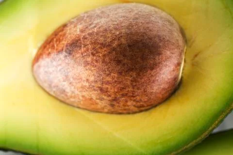 Avocado Stock Photos