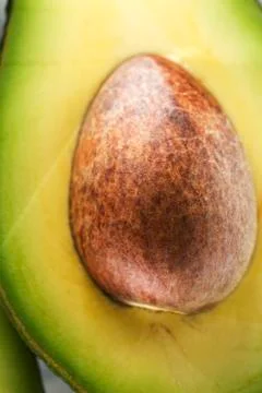 Avocado Stock Photos