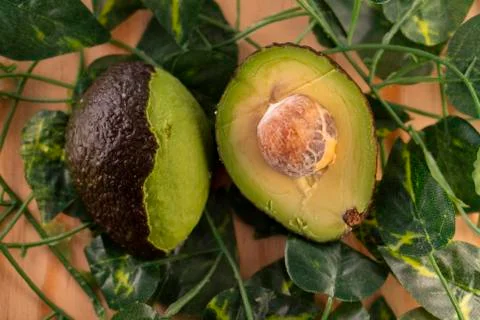 Avocado Stock Photos
