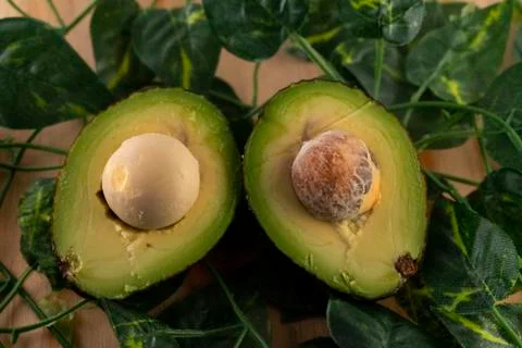 Avocado Stock Photos