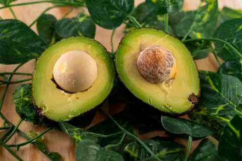 Avocado Stock Photos