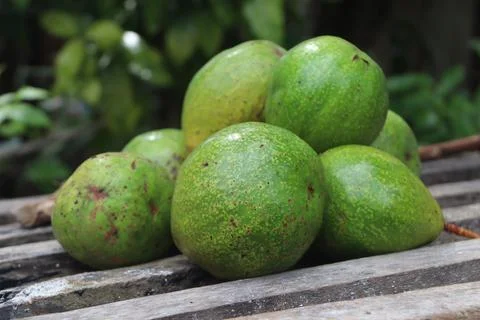 Avocado Stock Photos