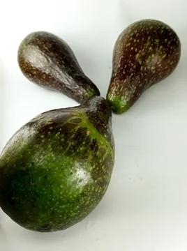Avocado Stock Photos