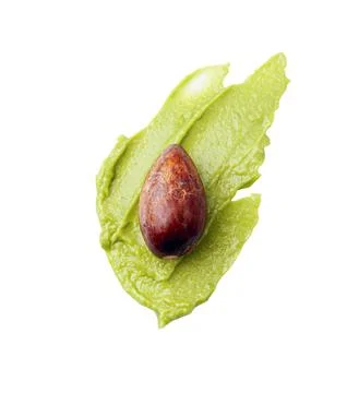 Avocado Stock Photos