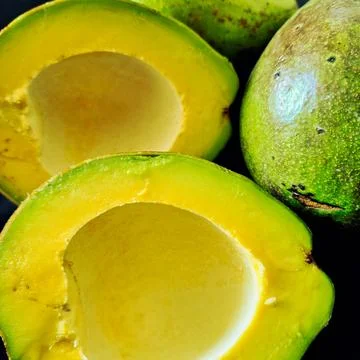 Avocado Stock Photos