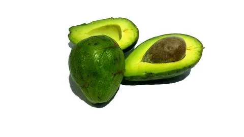 Avocado Stock Photos