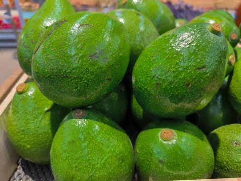 Avocado Photos