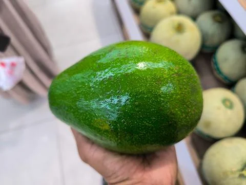 Avocado 写真素材