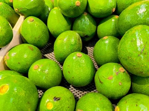 Avocado 스톡 사진