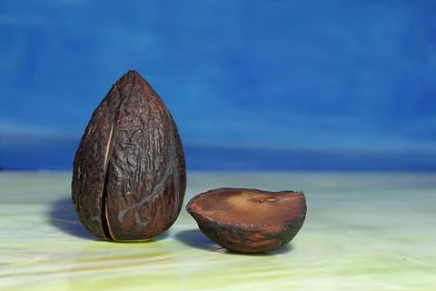 Avocado pit with an interesting shape Foto stock