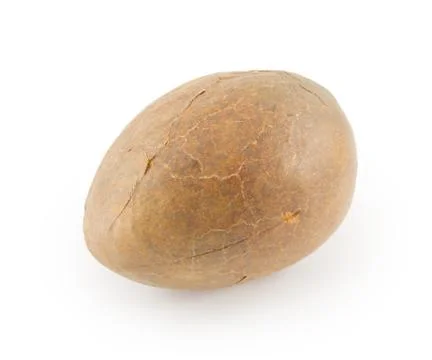 Avocado pit Stock Photos