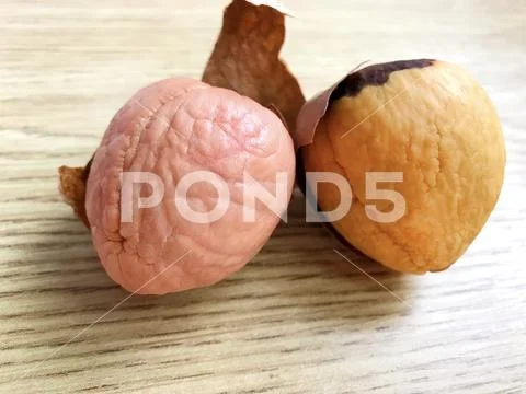 Avocado pit on the table. Stock Photos