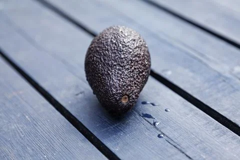 An avocado ready to be cut up Stock Photos