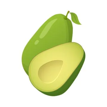 Avocado realistic fresh fruit. Vector illustration.Healthy food for vegans an Stock Illustration