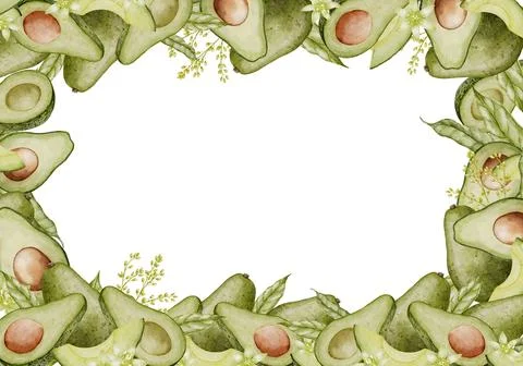Avocado rectangular Frame. Watercolor Background with copy space. Hand drawn Stock Illustration