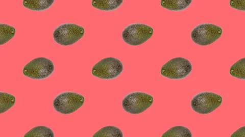 An Avocado in seamless loop pattern on a coral background. Exotic fruits Stock Footage 222320412