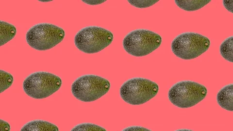 An Avocado in seamless loop pattern on a coral background. Exotic fruits Stock Footage 222327345