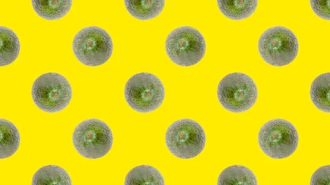 An Avocado in seamless loop pattern on a yellow background. Exotic fruits Stock Footage 222320556