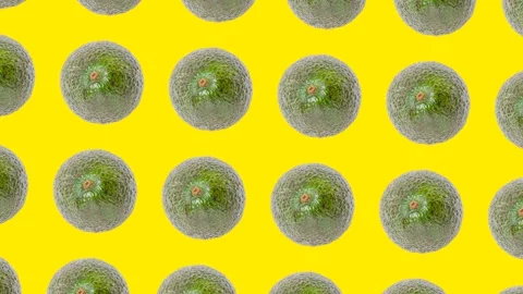 An Avocado in seamless loop pattern on a yellow background. Exotic fruits Stock Footage 222327469