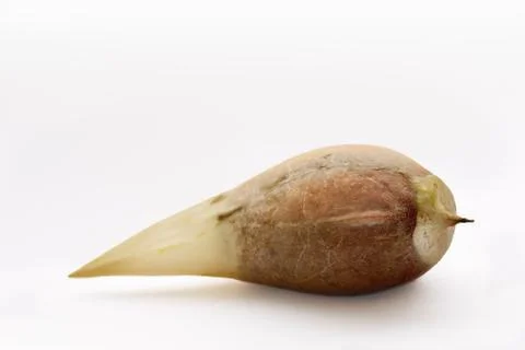 Avocado seed Stock Photos