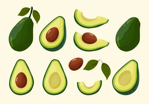 Avocado set Stock Illustration