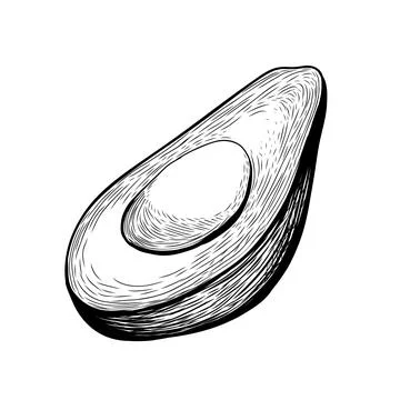 Avocado sketch. Hand drawn vector illustration Stock Illustration