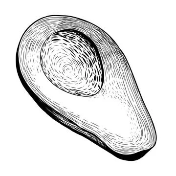 Avocado sketch. Hand drawn vector illustration Stock Illustration