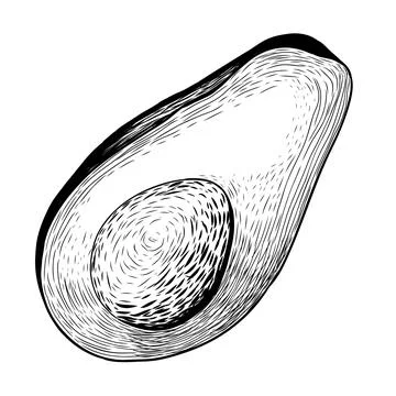 Avocado sketch. Hand drawn vector illustration Illustrazione stock
