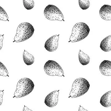 Avocado sketch pattern. Hand drawn black avocado on transparent background Stock Illustration