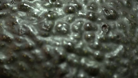 Avocado Skin Macro Close Up Rotation Stock Footage 112755701
