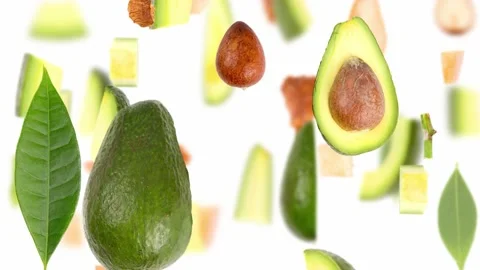 Avocado Slice and Leaf Collection Stock Footage 200407450