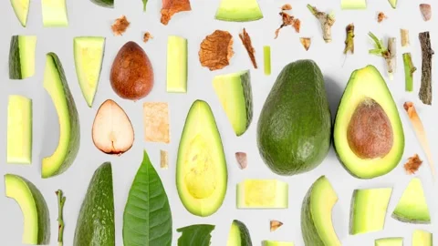 Avocado Slice and Leaf Collection Stock Footage 205547714