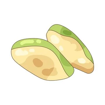 Avocado slice Stock Illustration