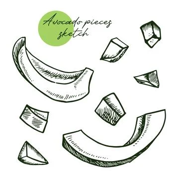 Avocado slice vector. Hand drawn sketch of ripe tropical fruit. Piece of peeled Stock Illustration