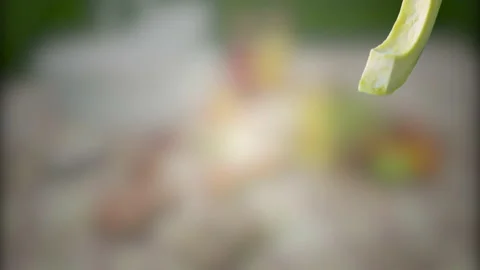 Avocado with Slices falling on picnic Background Stock Footage 130671485