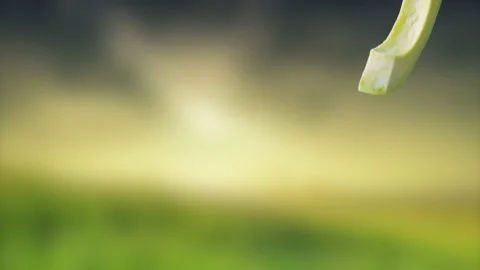 Avocado with Slices falling on sunset Background Stock Footage 130671637