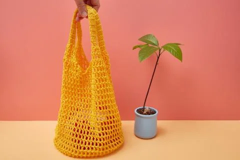 Avocado sprout and string bag on a colored corner background with copy space Stock Photos