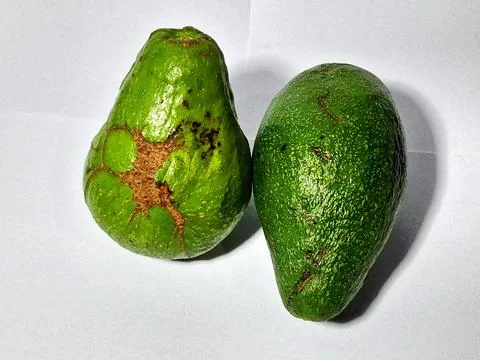 Avocado Super Butter Stock Photos