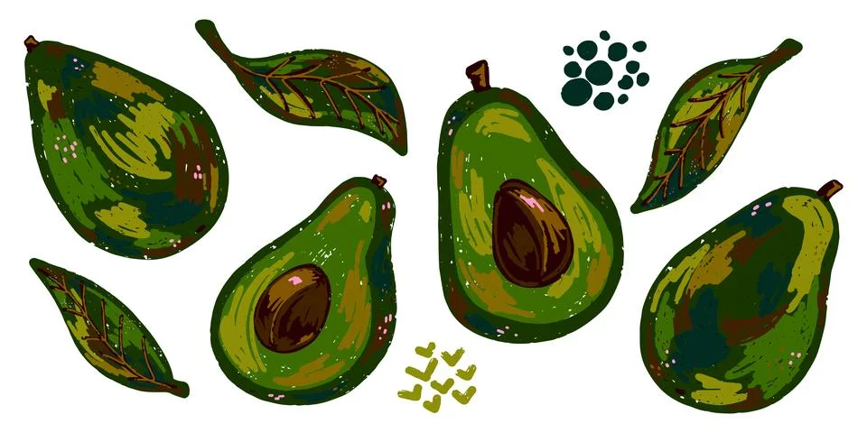 Avocado. Texture fruit set of elements drawn from hand, chalk, colored pencil イラスト素材
