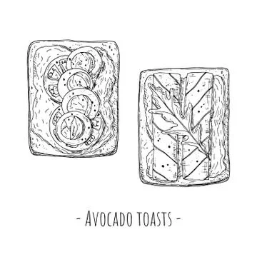 Avocado toasts. Top view. Hand-drawn style. Isolated. Stock Illustration