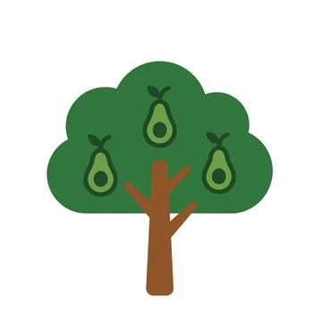 Avocado Tree Isolated Tropical Fruit Tree Agriculture Vector Illustration Stock Illustration