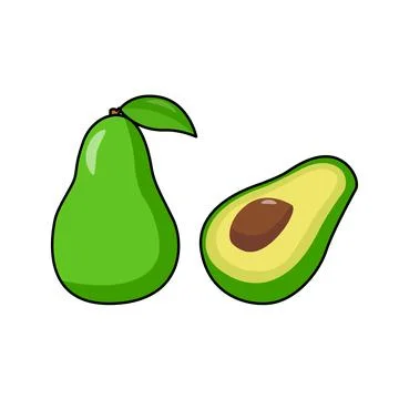 Avocado Vector Stock Illustration