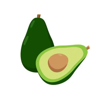 Avocado vector illustration isolated on white background. Juicy tropical exotic Stock-Illustration